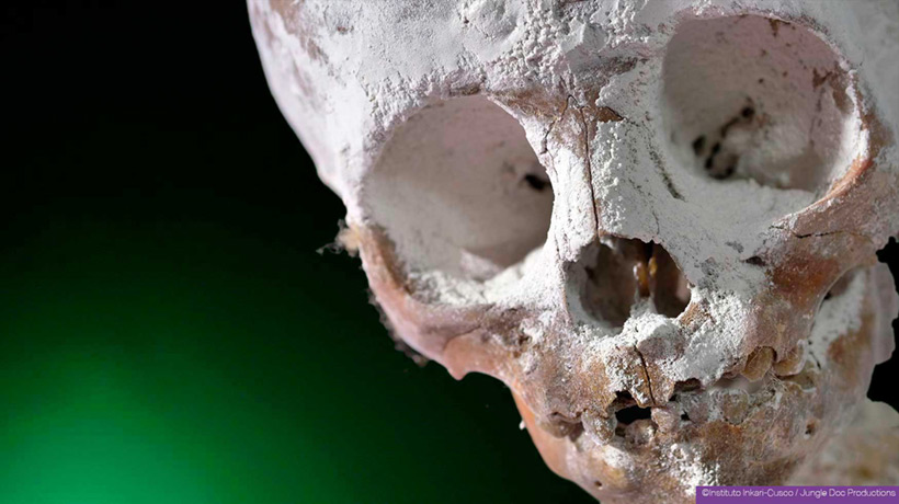 Инопланетные мумии из Перу: объекты изучения Тайны и мифы